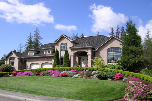 Immersive exhibit brings van Gogh’s classic paintings to life